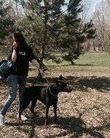 Настя Волкова