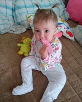 Мілана Порада