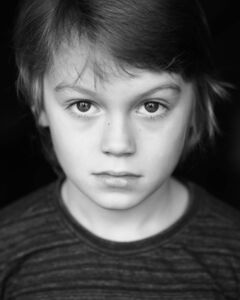 Алексей Прибыль