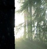 Маришка Гришнак