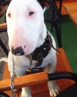 Христя Гончарук