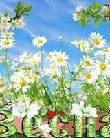 Ольга Ротарь