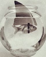 Альця Гречанюк