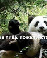 Михаил Чижевский