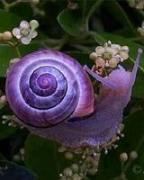 Юлия Боговик