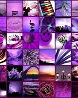 Ника Насовская