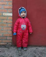 Мирослав Горний