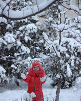 Елизавета Мокрицкая