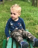 Михаил Солоха