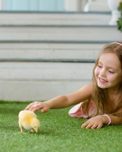 Снежана Ушакова