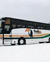 Tocobus Tocobus