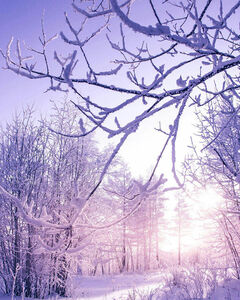 Даша Миронова