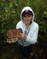 Олена Кучер