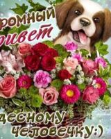 Анатолий Присяжнюк