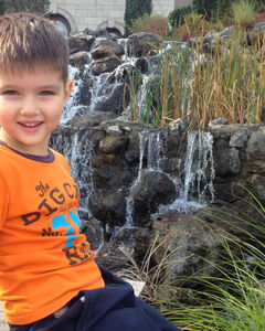 Максим Цыганский