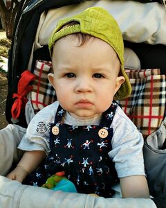 Тимофій Комаров