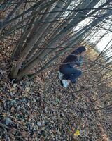 Фрося Лявава