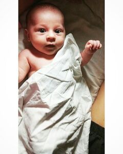 Давид Ковалев