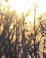 Андрей Андреев