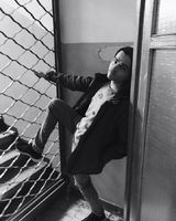 Вишневский Сергеевич