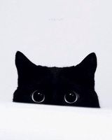 Світаночок Олексієнко