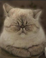 Иванов Иван