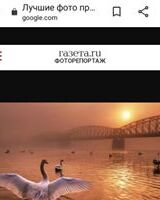 Элишева Альтман