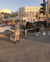 Нікіта Дзигар