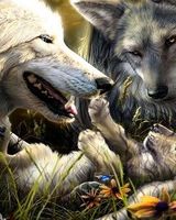 Оля Дорошенко