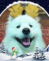 Юлия Заяц