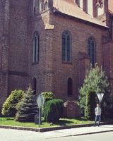 Максим Горопашный