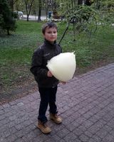 Никита Купченко