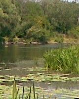 Виктория Виктория