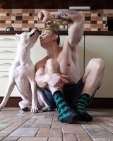 Роман Заволока