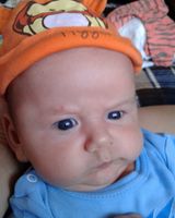 Владимир Конрад