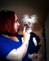 Ритка Маргаритка