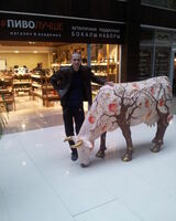 Сергій Катринець