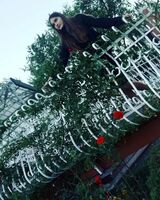 Мілана Салівон