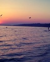 Вова Корпан