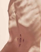 Вітя Карпець