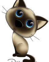 Татьяна Куренная