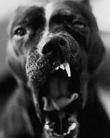 Роксана Костюк