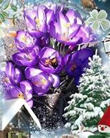 Альона Горобчишина