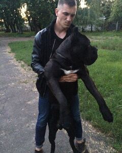 Шавлов Сергеевич