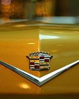 Дмитрий Мануша