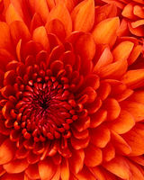 Наталия Ермакова