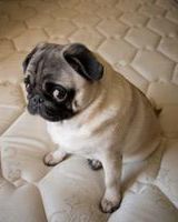 Татьяна Василенко