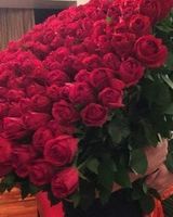 Неонила Царык