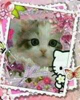 Hathor Boginj