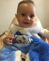 Александр Володько